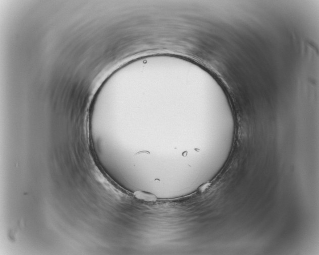 X0000102541516200808291831