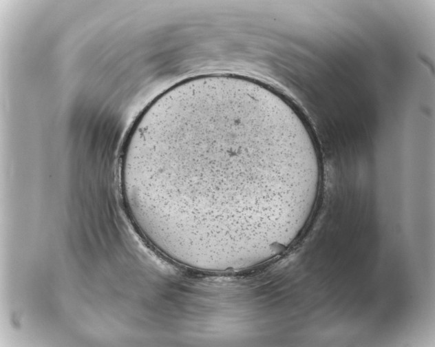 X0000102541517200808291831