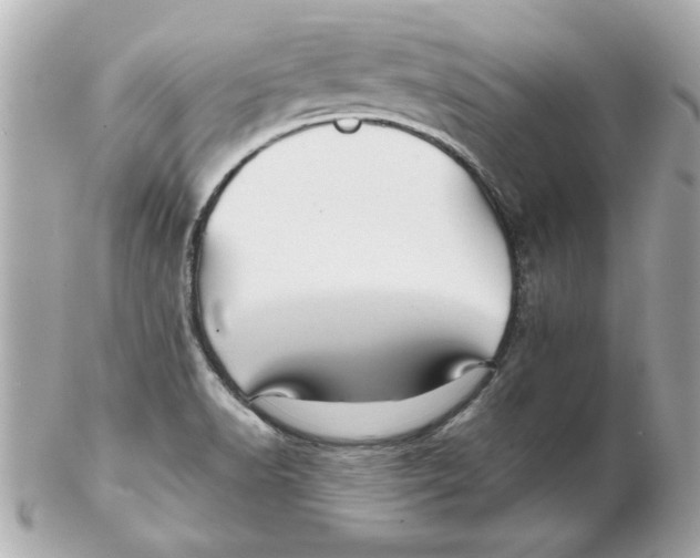 X0000102541518200808291831