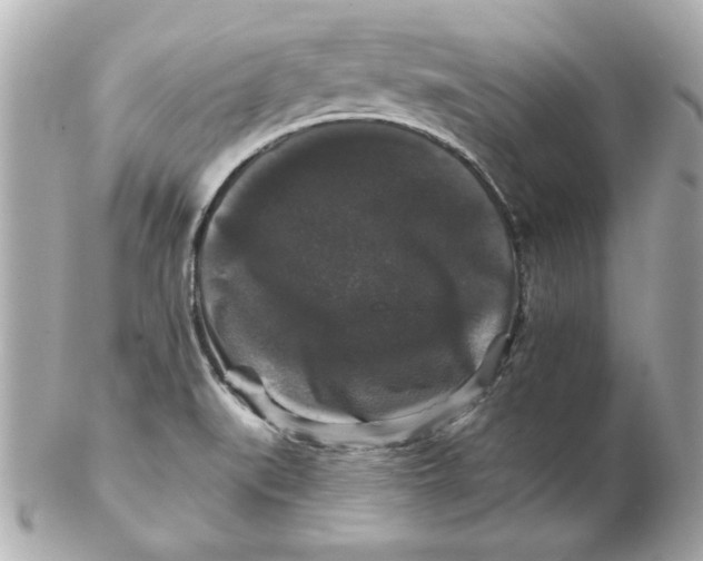 X0000102541519200808291831
