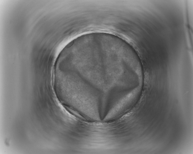 X0000102541520200808291831