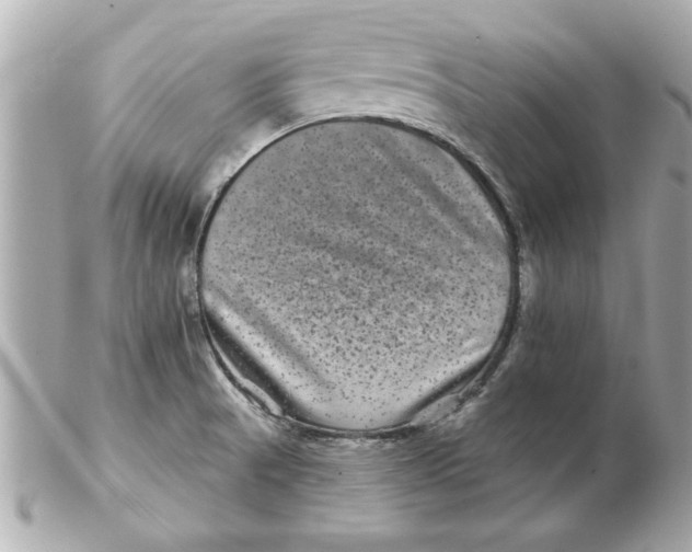 X0000102541521200808291831
