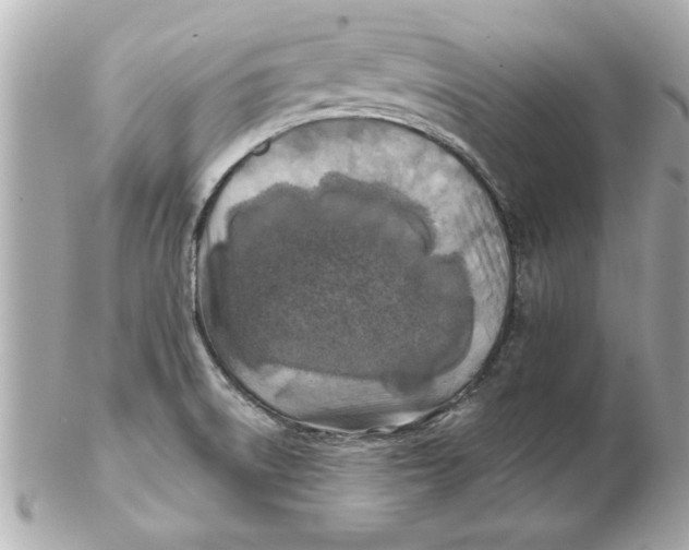 X0000102541522200808291831
