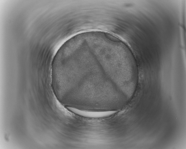 X0000102541524200808291831