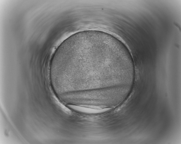 X0000102541525200808291831