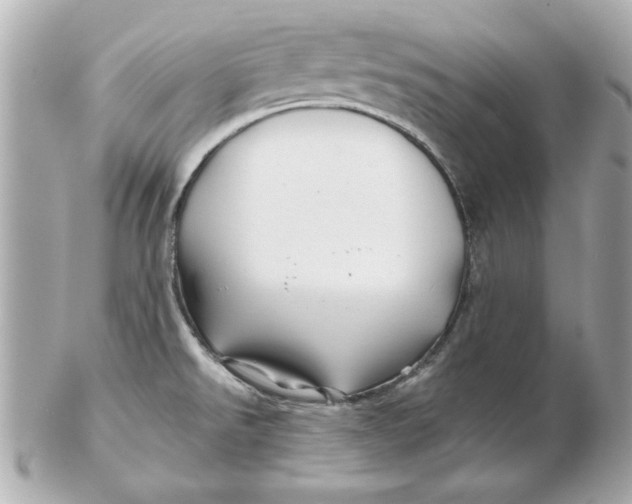 X0000102541526200808291831
