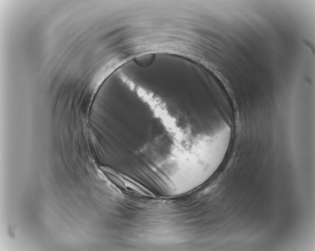 X0000102541529200808291831