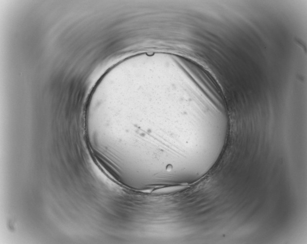 X0000102541531200808291831