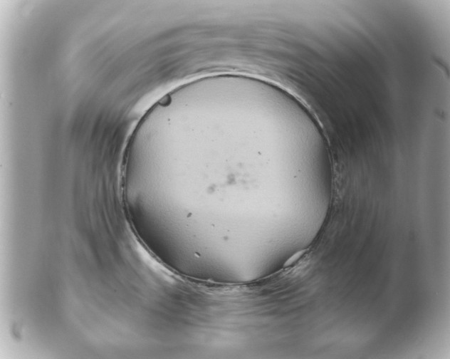 X0000102541535200808291831