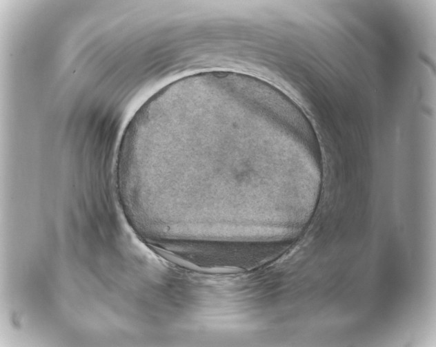 X0000102541536200808291831