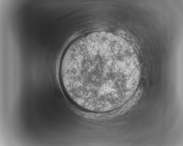 X0000102540003200809051542