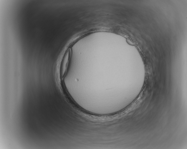 X0000102540006200809051542