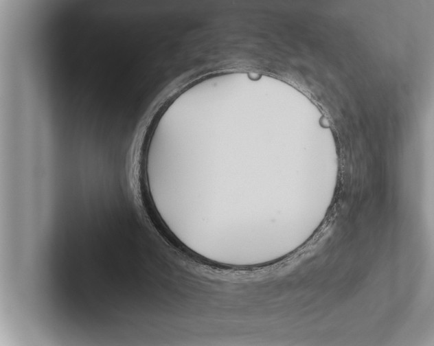X0000102540007200809051542