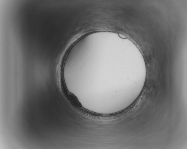 X0000102540008200809051542