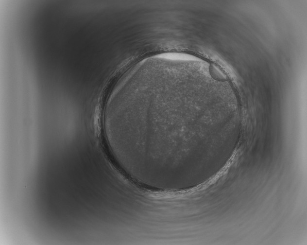 X0000102540009200809051542