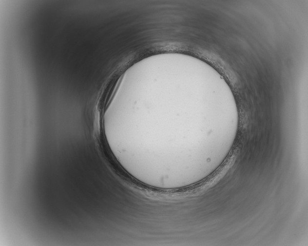 X0000102540014200809051542