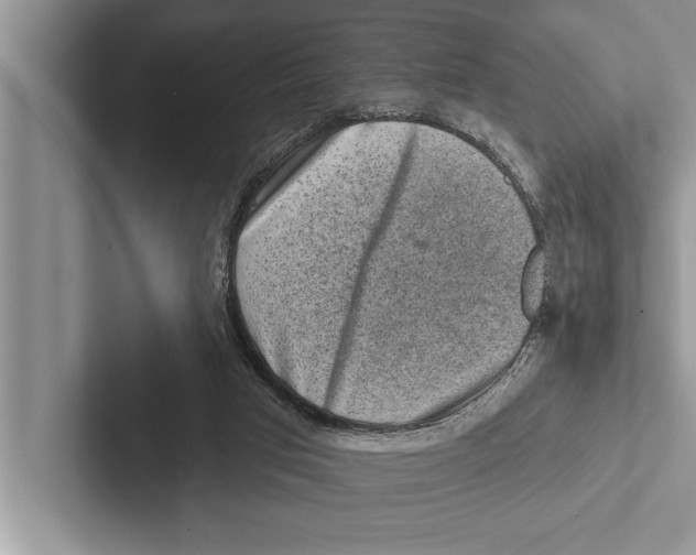 X0000102540017200809051542
