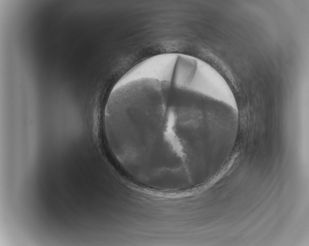X0000102540018200809051542