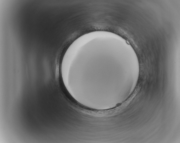 X0000102540019200809051542