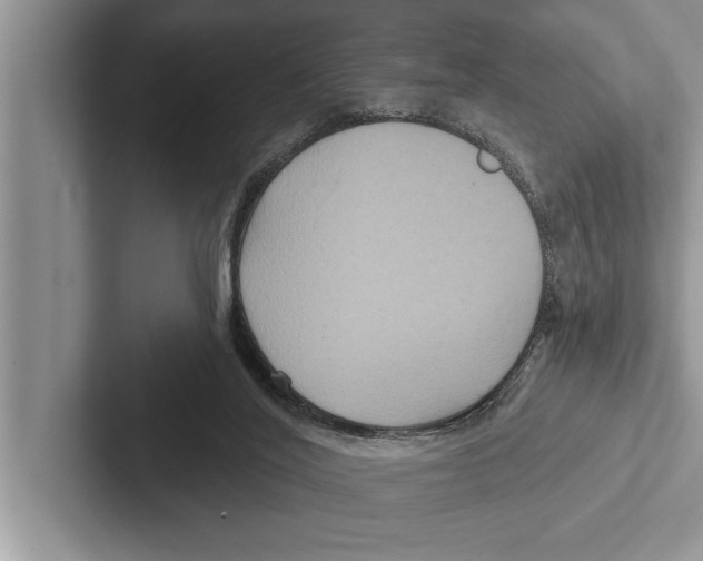 X0000102540020200809051542