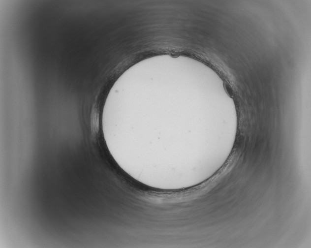 X0000102540021200809051542