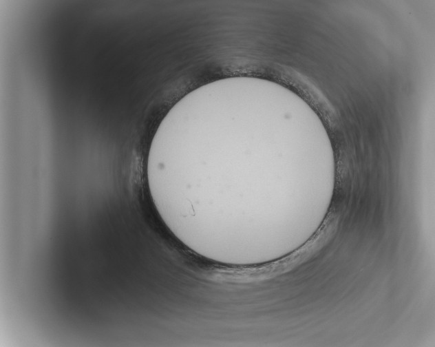 X0000102540025200809051542