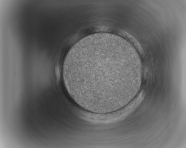X0000102540026200809051542