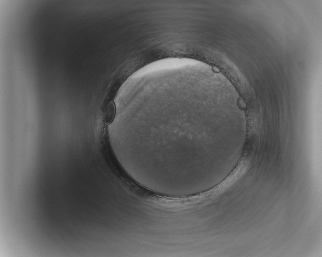 X0000102540029200809051542