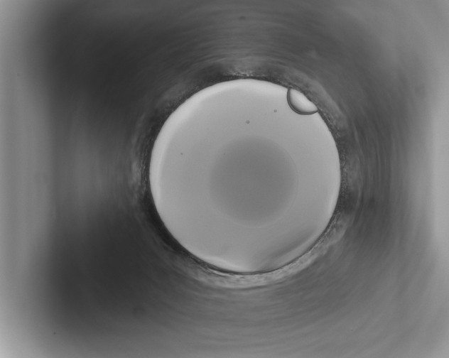 X0000102540031200809051542