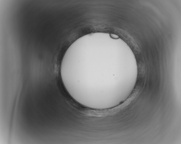 X0000102540033200809051542