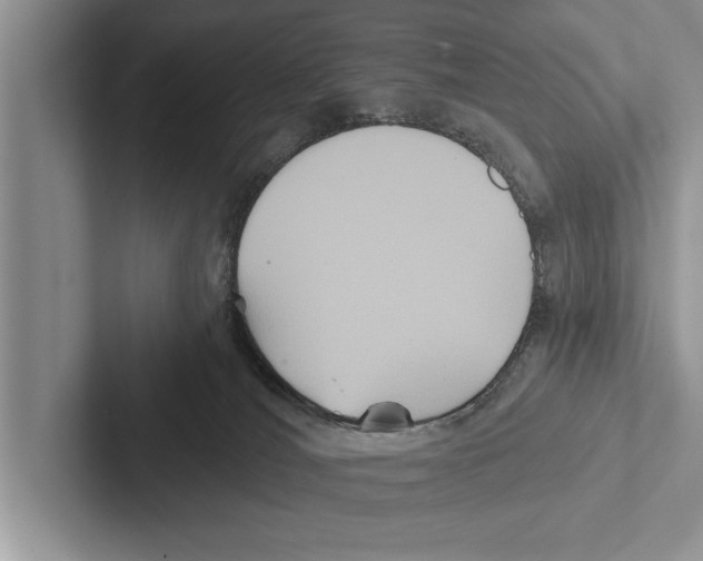 X0000102540036200809051542