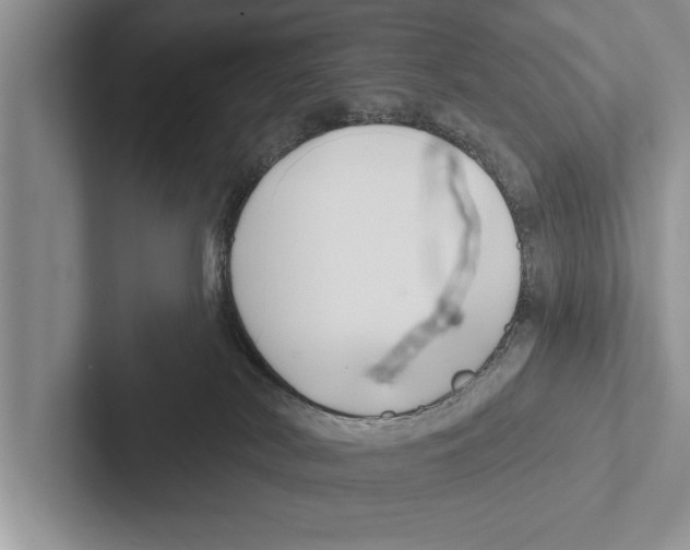 X0000102540038200809051542