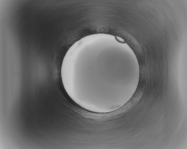 X0000102540039200809051542
