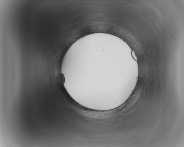 X0000102540040200809051542