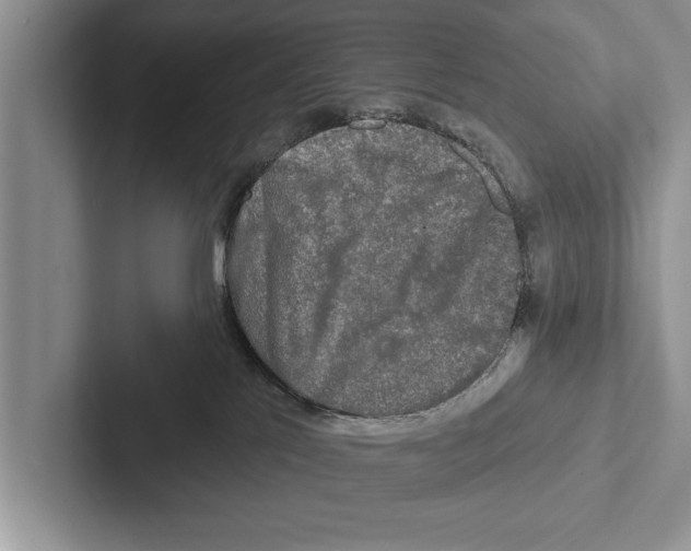 X0000102540041200809051542
