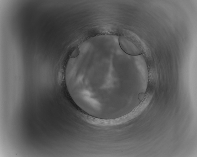 X0000102540043200809051542