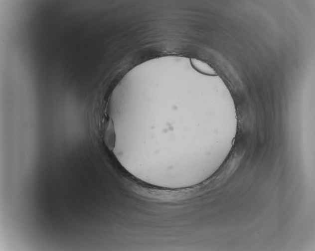 X0000102540044200809051542