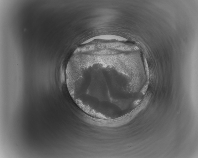 X0000102540046200809051542