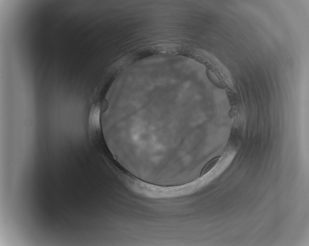 X0000102540047200809051542