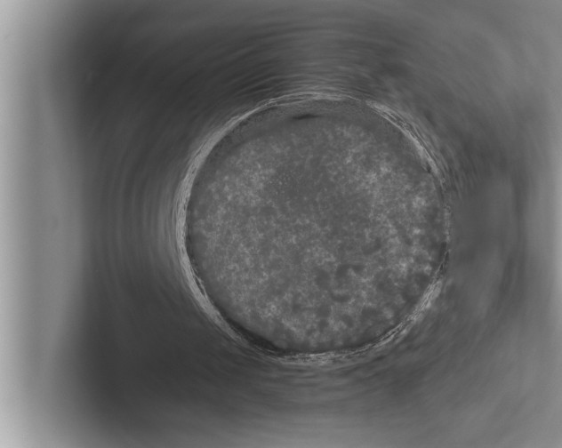 X0000102540049200809051541