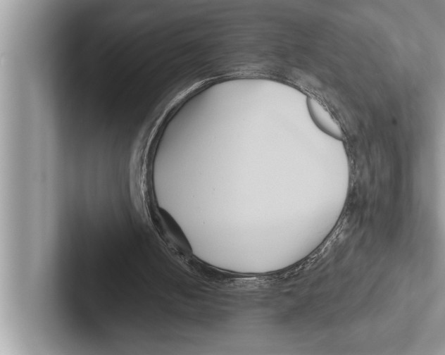 X0000102540050200809051541
