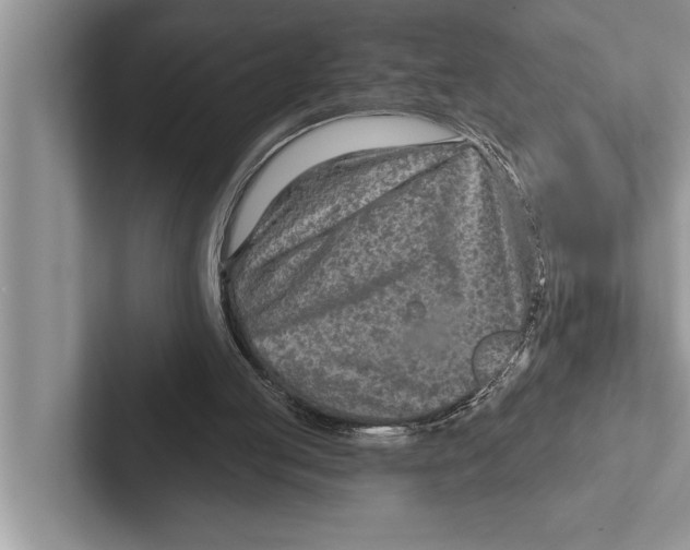 X0000102540053200809051541