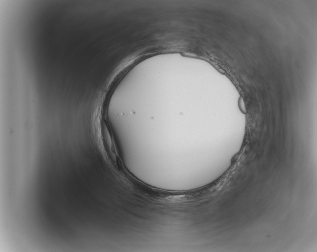 X0000102540054200809051541