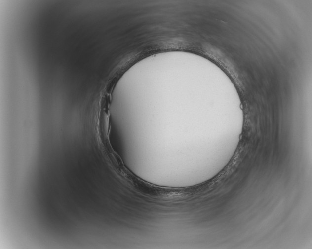 X0000102540058200809051541