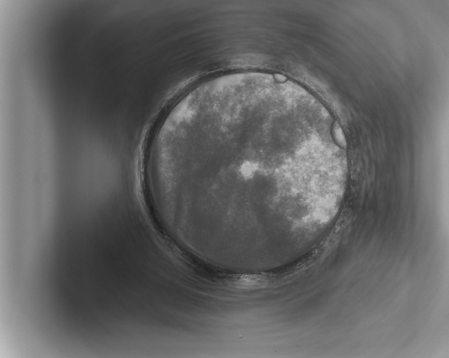 X0000102540060200809051541