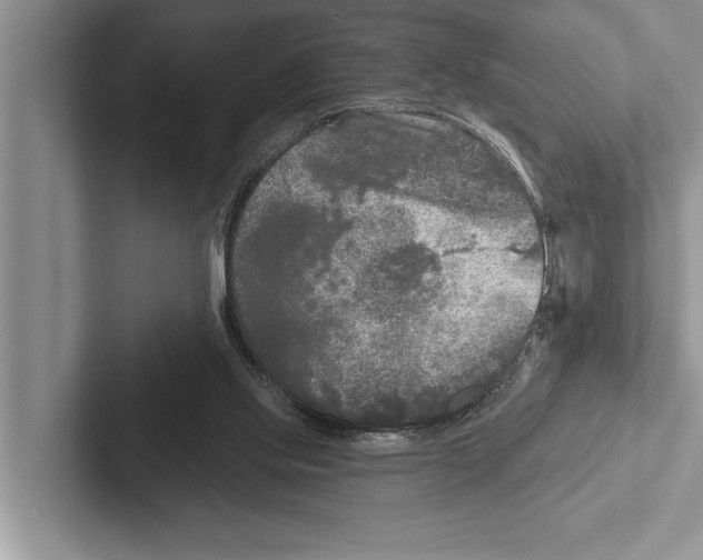 X0000102540061200809051541
