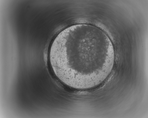 X0000102540063200809051541