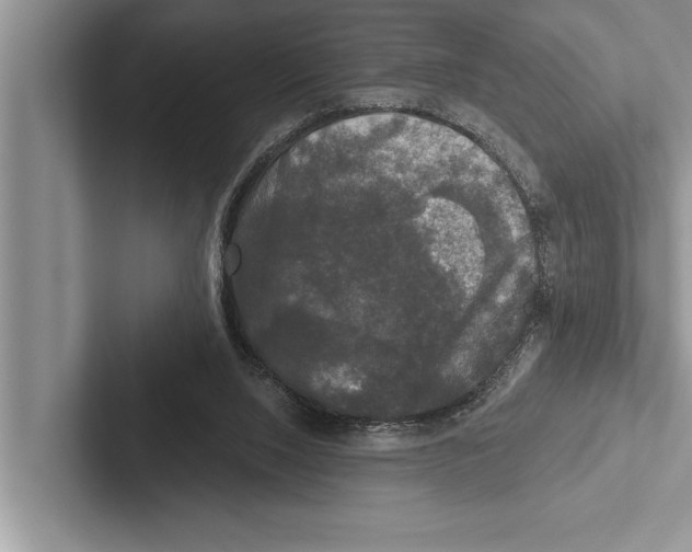 X0000102540064200809051541