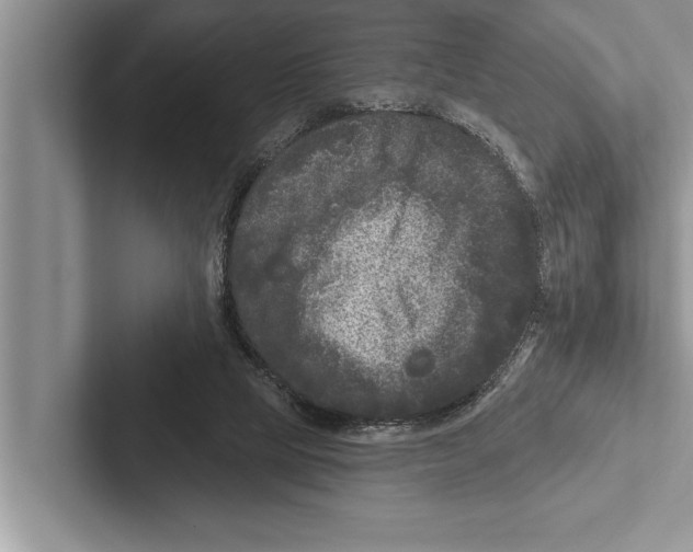 X0000102540065200809051541