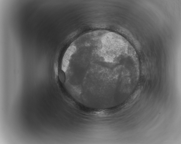 X0000102540068200809051541